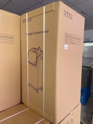 Tam Akıllı taşınabilir Nebulizatör Oksijen Makinesi jeneratörü 10 Litre