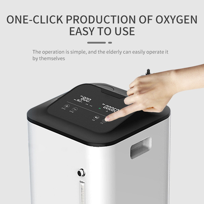 Hastane ve Ev İçin Mini O2 Konsantratör Makinesi 10lpm