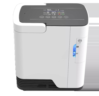 Değiştirilebilir Moleküler Elekli 1 L Amonoy Nabız Oksijen Konsantratörü
