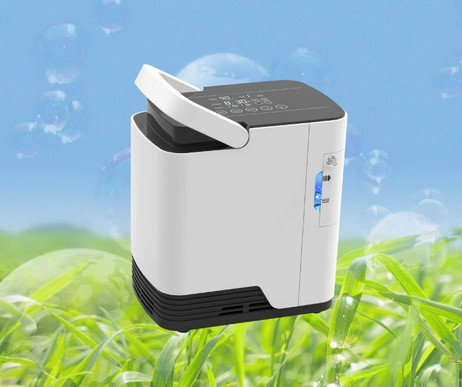 Tek Akışlı Taşınabilir 2 Litre Oksijen Konsantratörü Evde Kullanım 220v
